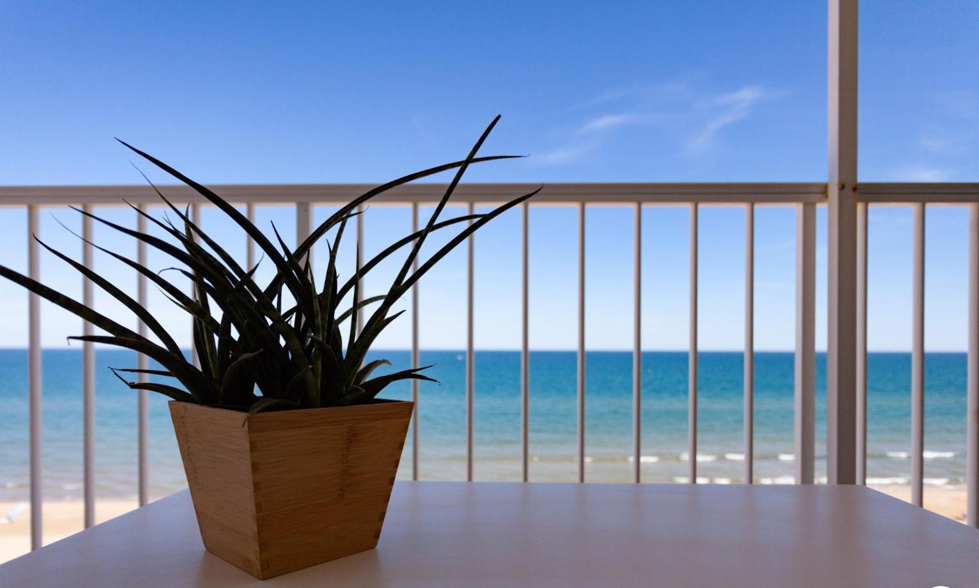Apartamento Primera Linea De Playa Бельрегуарт Экстерьер фото